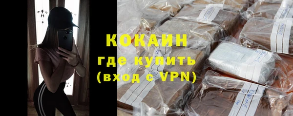 прущие грибы Каменногорск