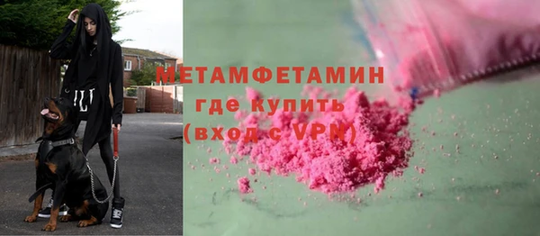 прущие грибы Каменногорск