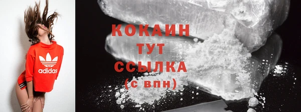 прущие грибы Каменногорск