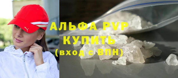 прущие грибы Каменногорск