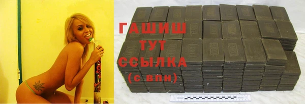 прущие грибы Каменногорск