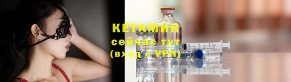 прущие грибы Каменногорск
