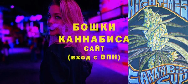 прущие грибы Каменногорск