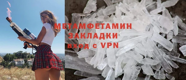прущие грибы Каменногорск